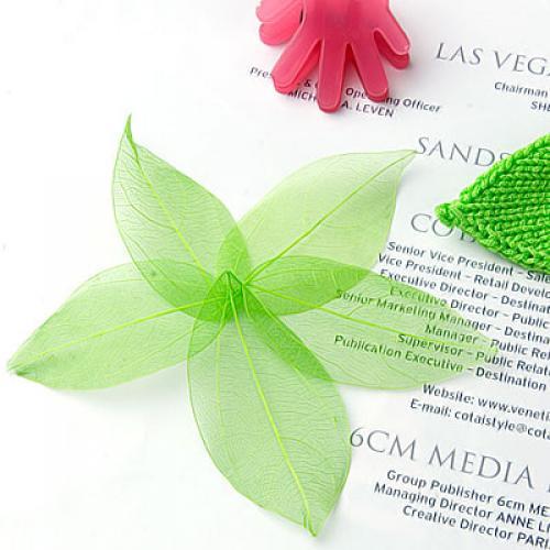 Natural Catbrier Skeleton Leav – Embellish Craft recenzja i cena