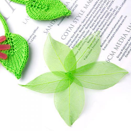 Natural Catbrier Skeleton Leav – Embellish Craft recenzja i cena