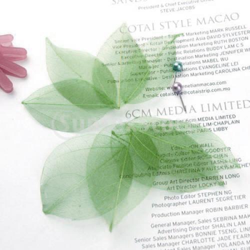 Natural Catbrier Skeleton Leav – Embellish Craft recenzja i cena