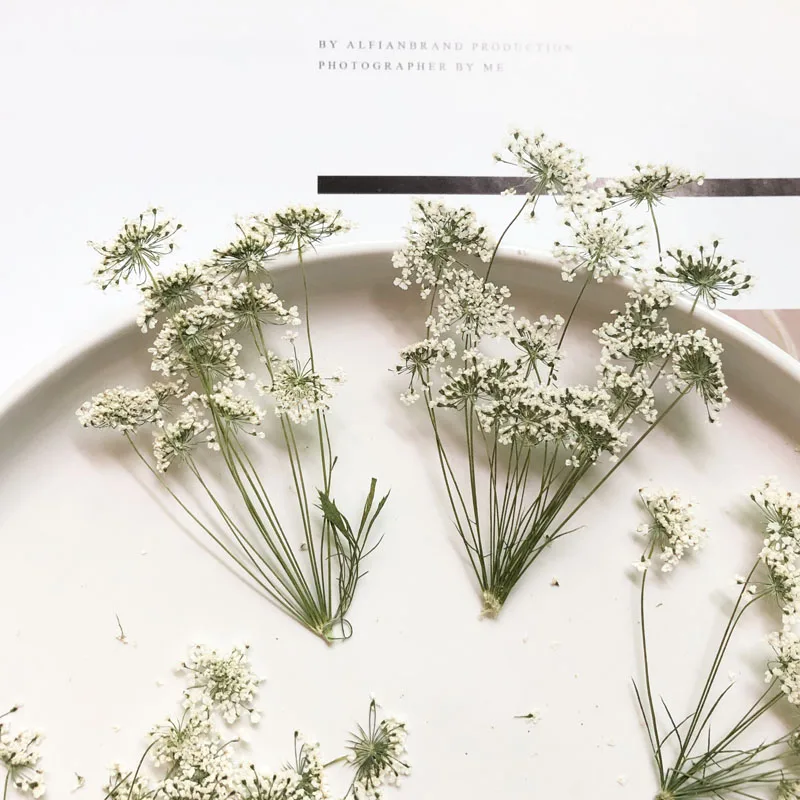 5-7cm/12pcs,Snow Tiny Flowers  – Craft Embellishment recenzja i cena