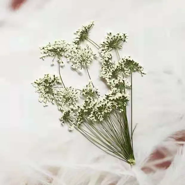 5-7cm/12pcs,Snow Tiny Flowers  – Craft Embellishment recenzja i cena