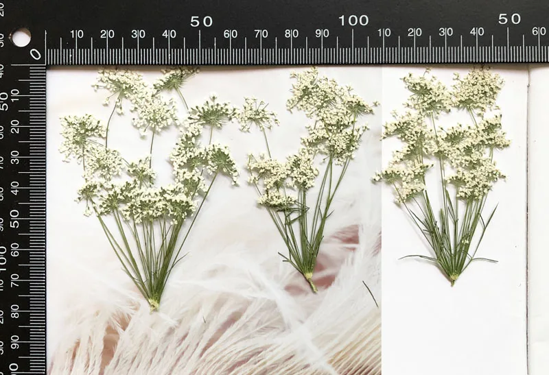 5-7cm/12pcs,Snow Tiny Flowers  – Craft Embellishment recenzja i cena