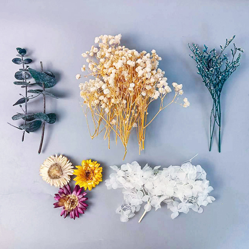 1pack Multifarious Dried Flowe – Embellish Craft recenzja i cena