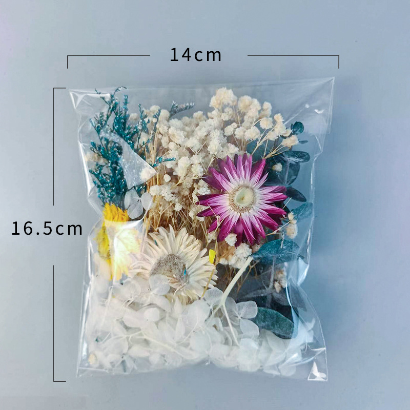 1pack Multifarious Dried Flowe – Embellish Craft recenzja i cena