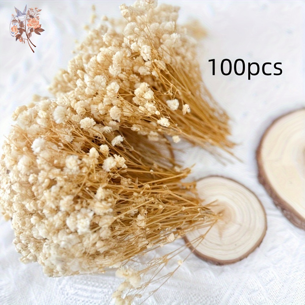 100pcs Mini Dried Baby's Breat – Embellish Craft recenzja i cena